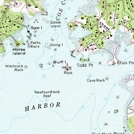 Topographic Map of Salt Rock, CT