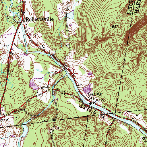 Topographic Map of Sandy Brook, CT