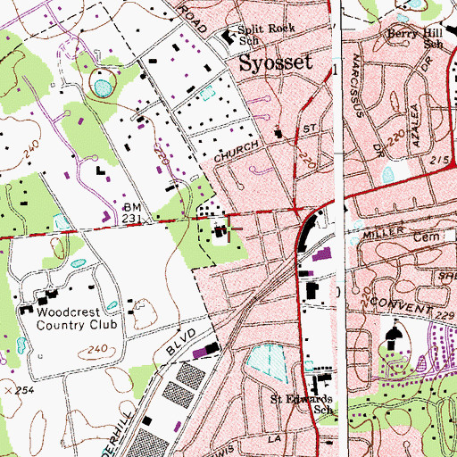 Topographic Map of North Shore Synagogue, NY