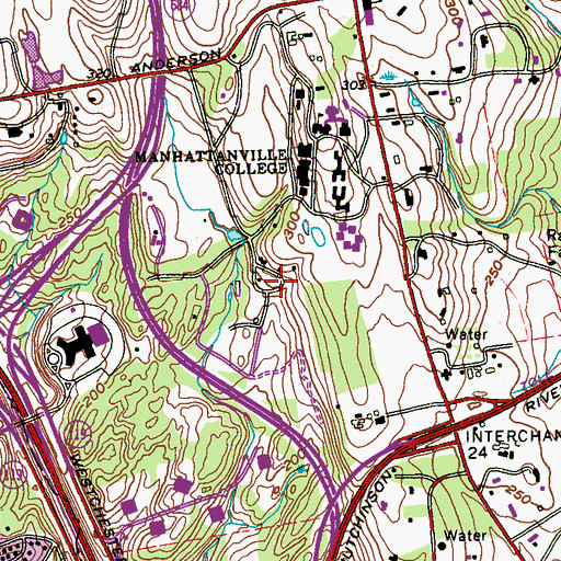 Topographic Map of Reed Estate, NY