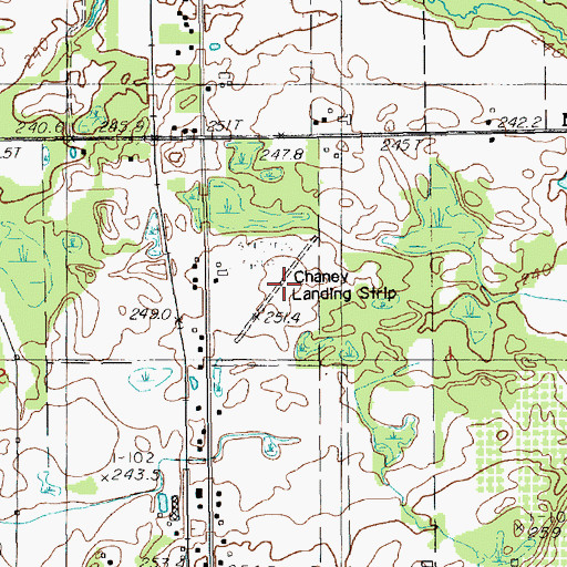 Topographic Map of Chaney Landing Strip (historical), MI