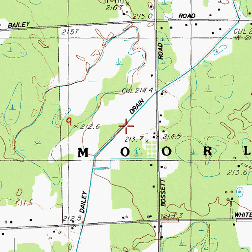 Topographic Map of Dailey Drain, MI