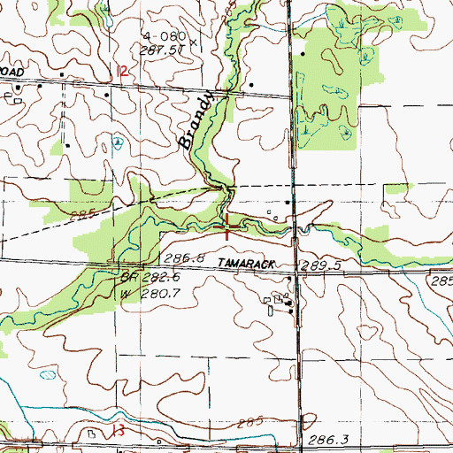 Topographic Map of Brandy Creek, MI