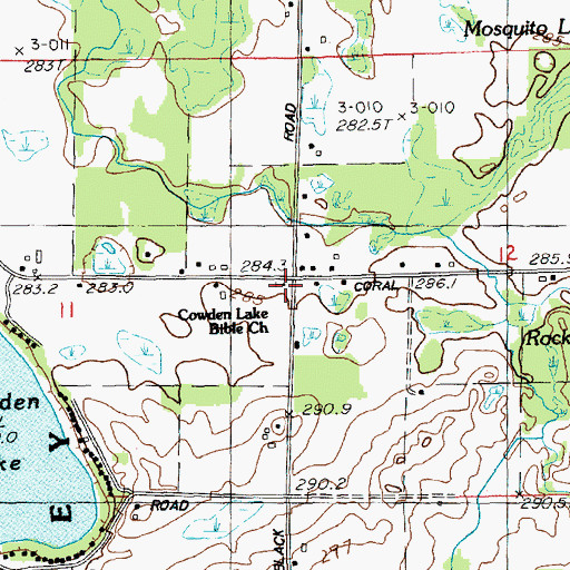Topographic Map of Cowden Lake Bible Church, MI