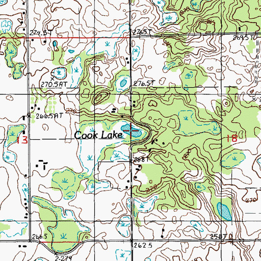 Topographic Map of Cook Lake, MI