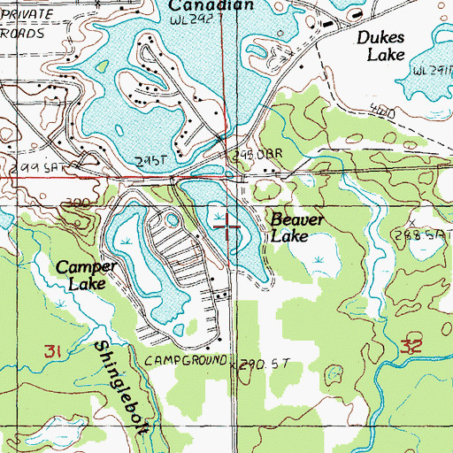 Topographic Map of Beaver Lake, MI