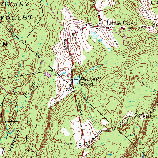 Topographic Map of Sawmill Pond, CT