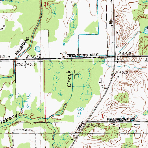 Topographic Map of Hickory Creek, MI