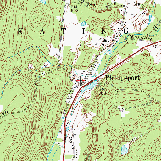 Topographic Map of Phillipsport School (historical), NY