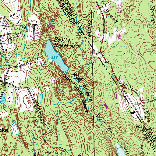 Topographic Map of Scotts Brook, NY