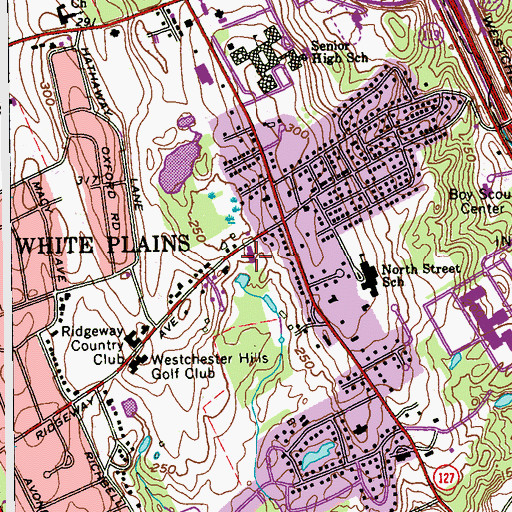 Topographic Map of Ridgeway Alliance Church, NY