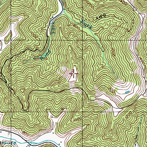 Topographic Map of Sycamore Mountain, KY