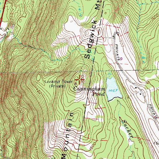Topographic Map of Sedgwick Mountain, CT