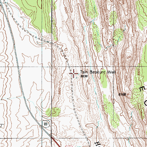 Topographic Map of Tsin Beskunt Well, AZ