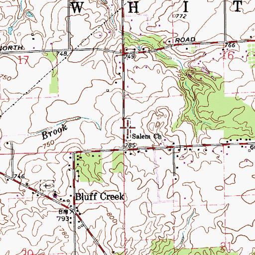 Topographic Map of Salem Cemetery, IN