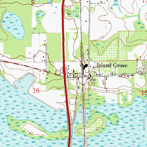 Topographic Map of Island Grove Volunteer Fire Department, FL