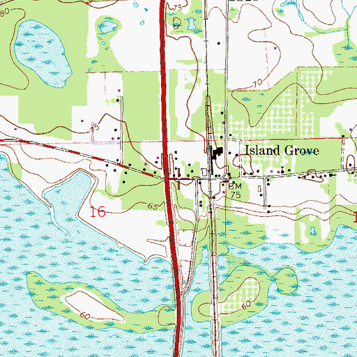 Topographic Map of Island Grove Post Office, FL
