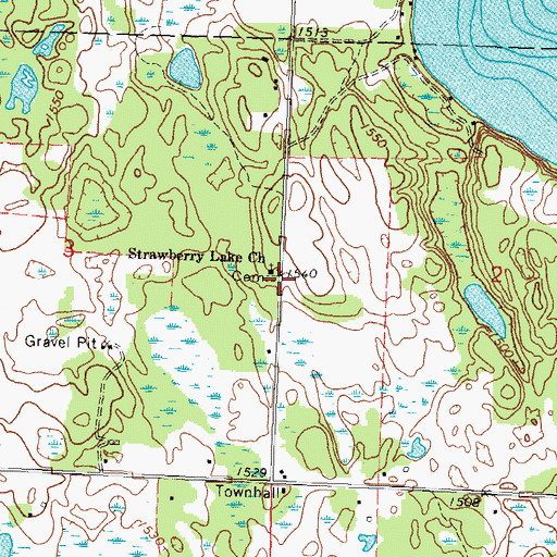 Topographic Map of Strawberry Lake Mennonite Cemetery, MN