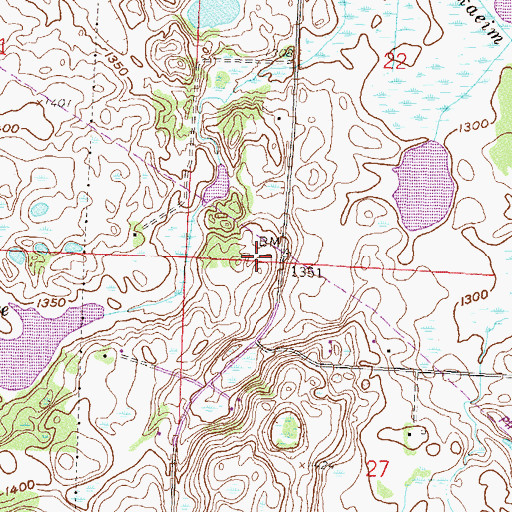 Topographic Map of Cook Family Cemetery, MN
