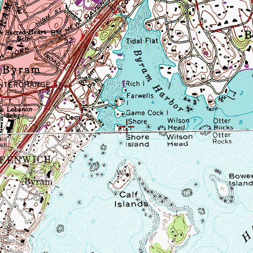 Topographic Map of Shore Island, CT