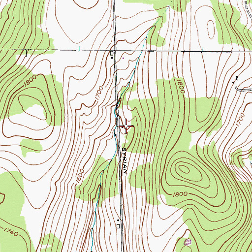 Topographic Map of Syrian School (historical), NY