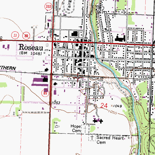 Topographic Map of Roseau Station, MN