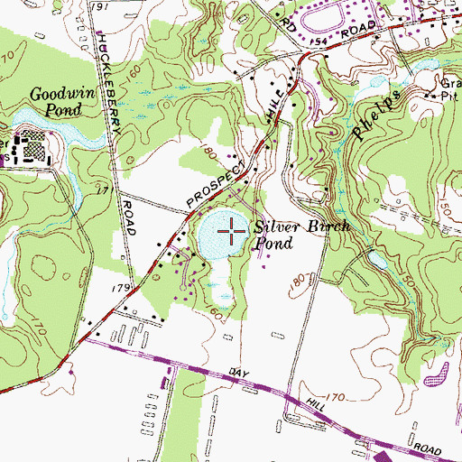 Topographic Map of Silver Birch Pond, CT