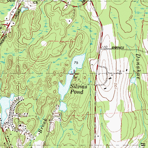 Topographic Map of Silvias Pond, CT