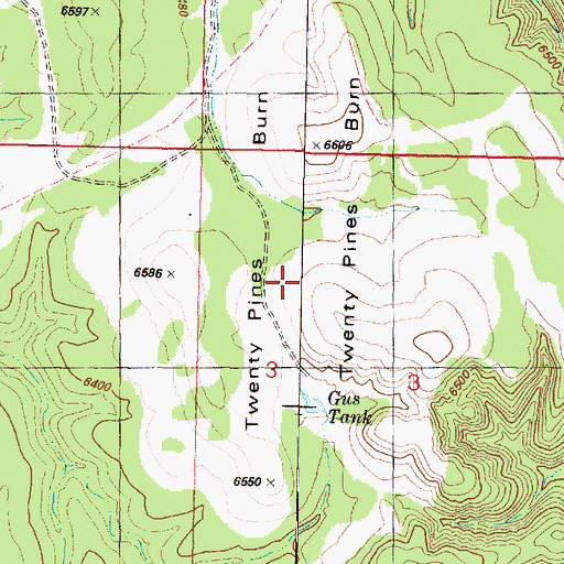 Topographic Map of Twenty Pine Burn, AZ