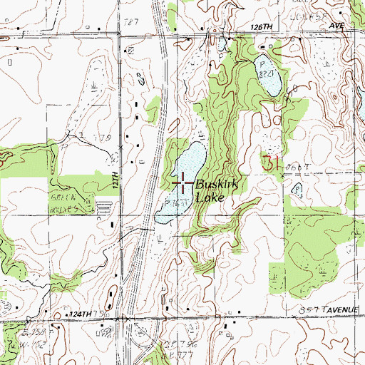 Topographic Map of Buskirk Lake, MI