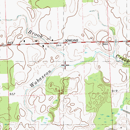 Topographic Map of Squaw Brook, MI