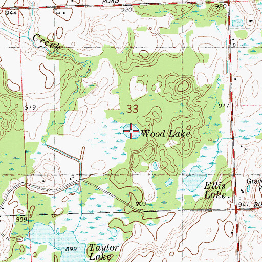 Topographic Map of Wild Lake, MI