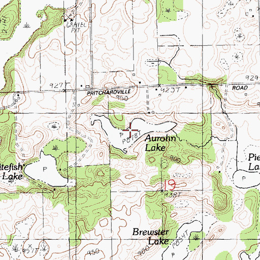 Topographic Map of Aurohn Lake, MI