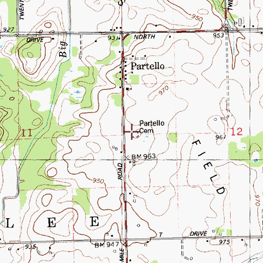 Topographic Map of Partello Cemetery, MI