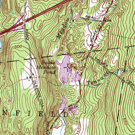Topographic Map of Snake Meadow Pond, CT