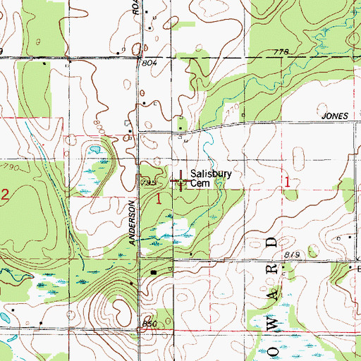 Topographic Map of Salisbury Cemetery, MI