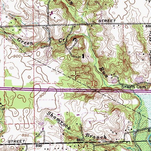 Topographic Map of The Woodlands, IN