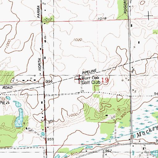 Topographic Map of Burr Oak Golf Club, MI