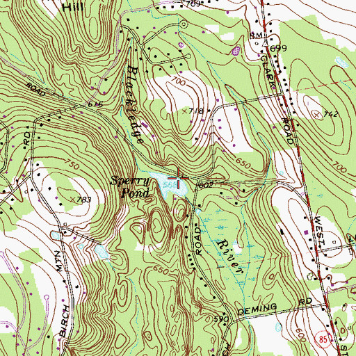 Topographic Map of Sperry Pond, CT