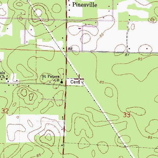 Topographic Map of Saint Peter's Cemetery, FL