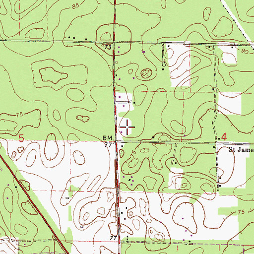 Topographic Map of Banks Methodist Church, FL