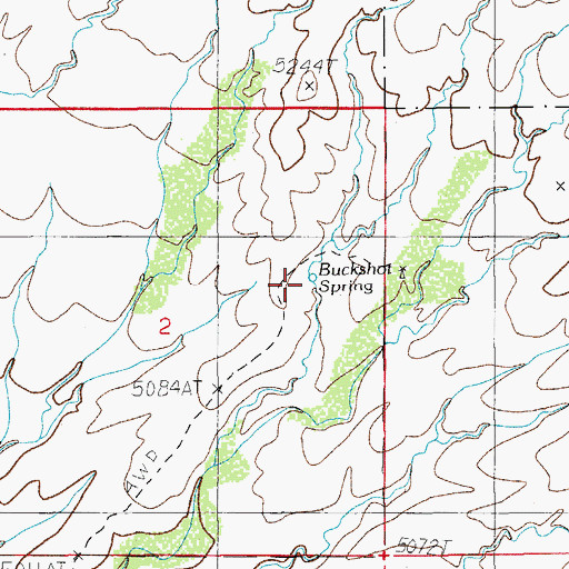 Topographic Map of Buckshot Spring, AZ