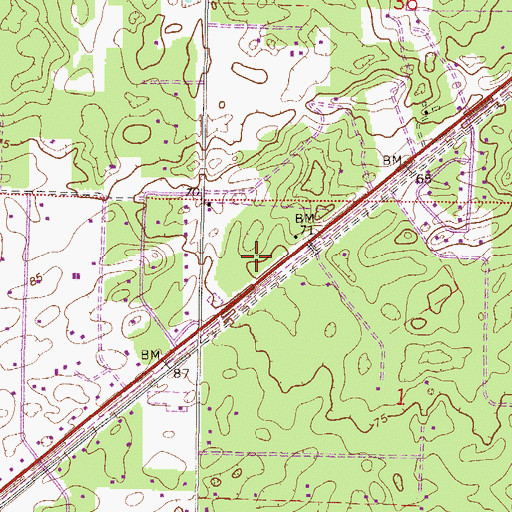 Topographic Map of Christian Life World, FL