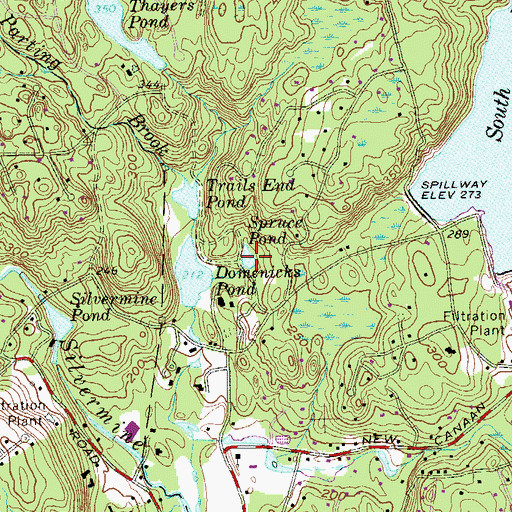 Topographic Map of Spruce Pond, CT