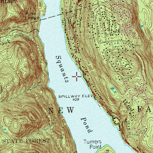 Topographic Map of Squantz Pond, CT