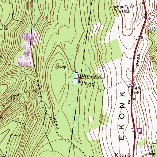 Topographic Map of Stanton Pond, CT