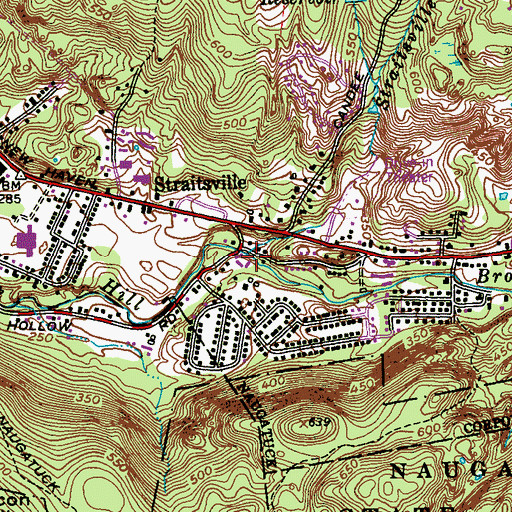 Topographic Map of Straitsville Brook, CT