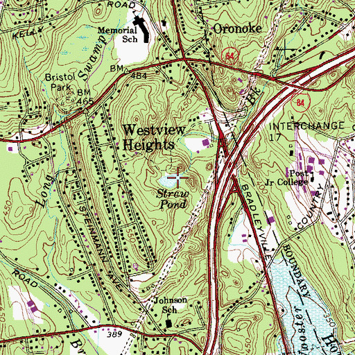 Topographic Map of Straw Pond, CT
