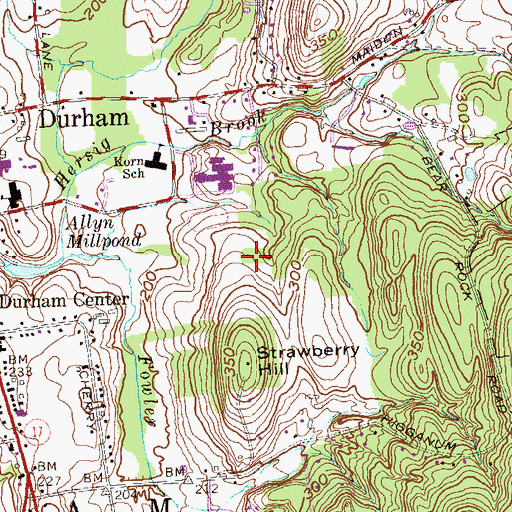 Topographic Map of Strawberry Hill, CT