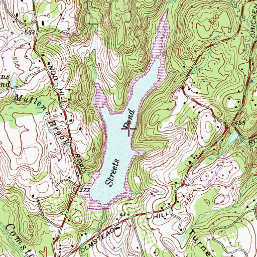 Topographic Map of Streets Pond, CT